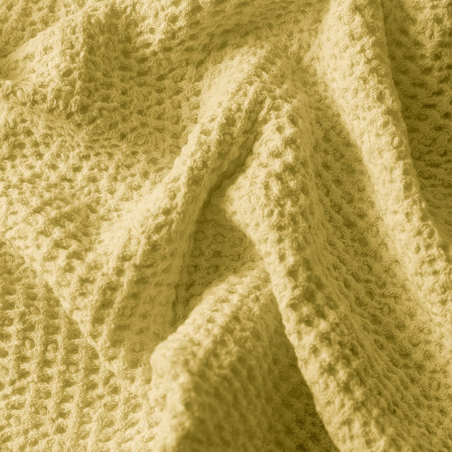 Waffle Artesanal Color
